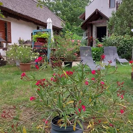 Apartamento Naplopó-lak