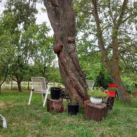Naplopó-lak * Ábrahámhegy